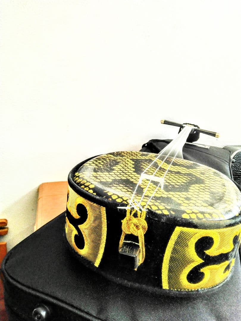 沖縄三線　人工皮　セミハードケース付き