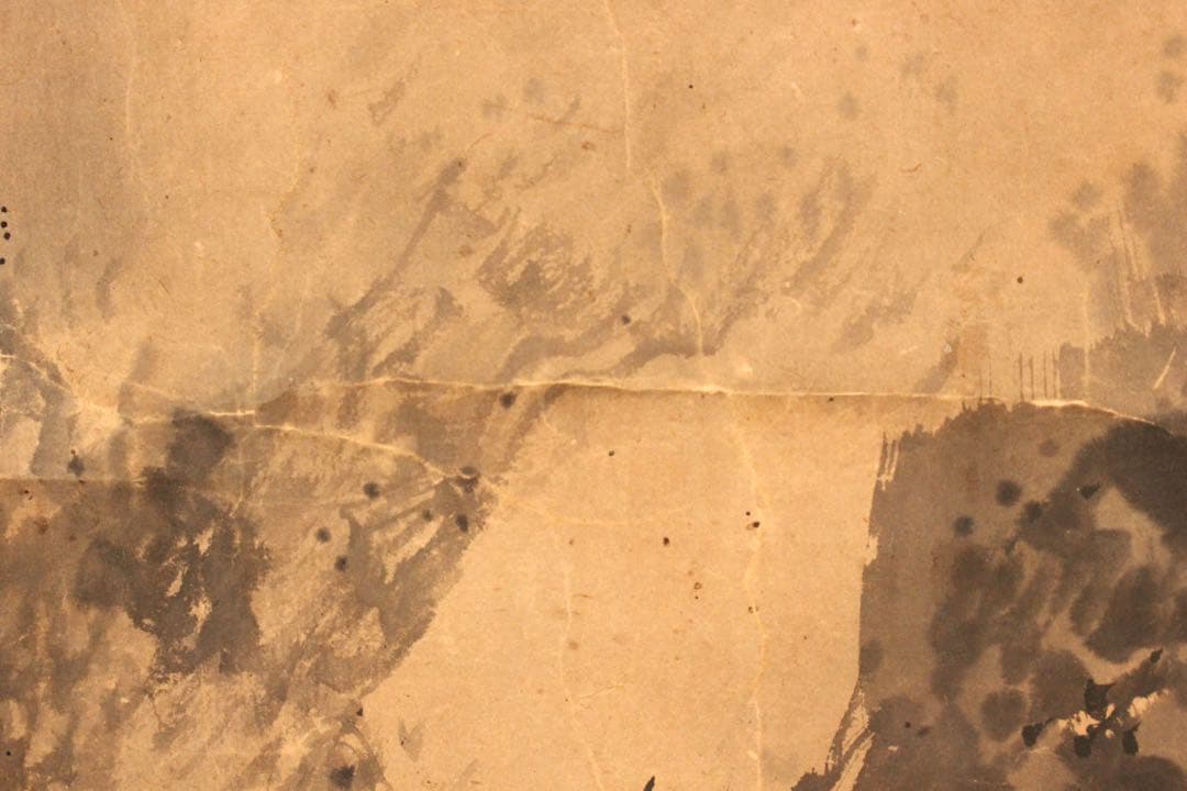 No5664 掛軸　在名　金峨　山水画賛　紙本　共箱　水墨山水　日本画　送料無料