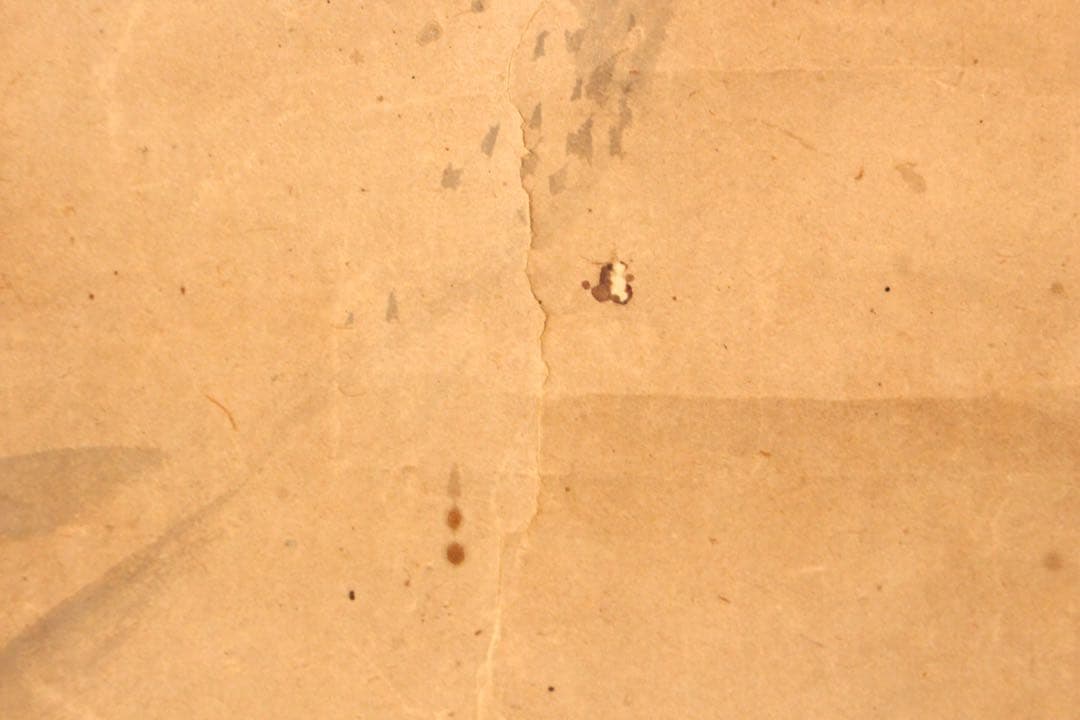 No5664 掛軸　在名　金峨　山水画賛　紙本　共箱　水墨山水　日本画　送料無料