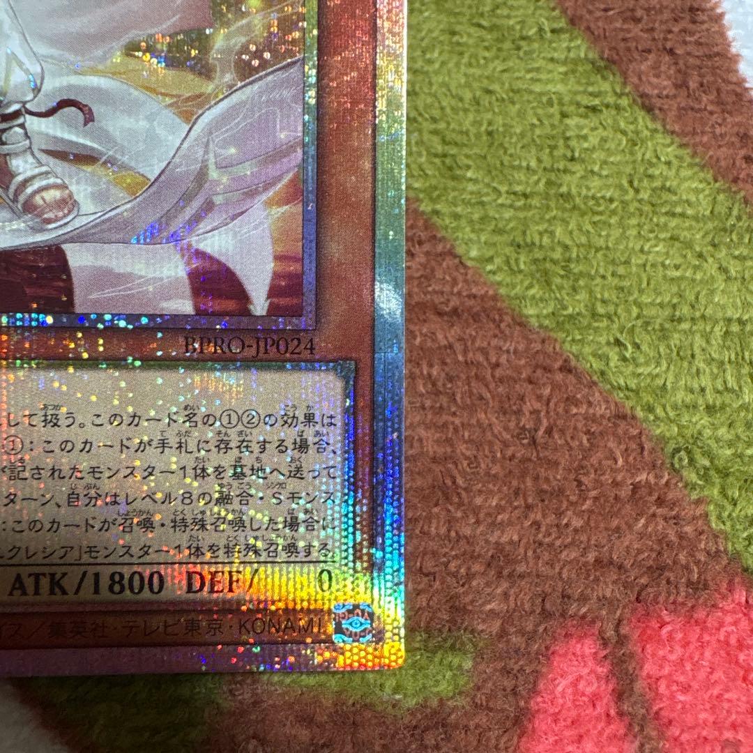 白き竜の落胤　プリシク