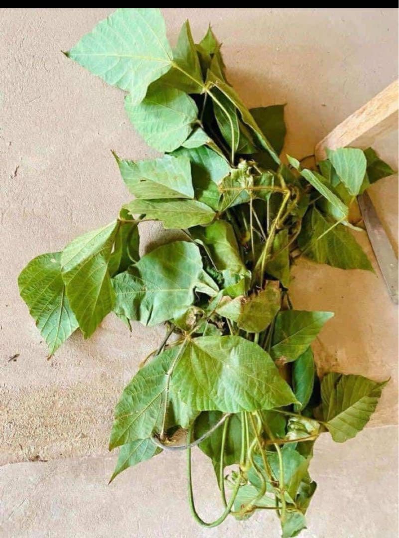 KUZU-87 葛糸*321g　くず糸　撚り糸　手編み・手織り用糸　くずのつる