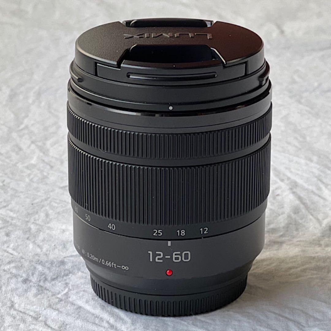【美品】 LUMIX G VARIO H-FS12060 ズームレンズ